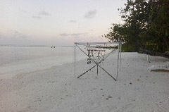 Click to enlarge

WeDive - Maldive-2017