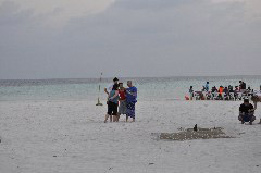 Click to enlarge

WeDive - Maldive-2017