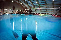 Click to enlarge

WeDive - Piscina