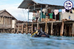 Click to enlarge

WeDive - RajaAmpat-2020