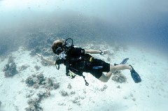 Click to enlarge

WeDive - Scuba-Girls