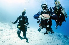 Click to enlarge

WeDive - Scuba-Girls