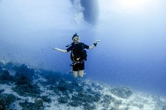 Click to enlarge

WeDive - Scuba-Girls