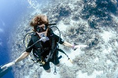 Click to enlarge

WeDive - Scuba-Girls