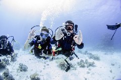 Click to enlarge

WeDive - Scuba-Girls