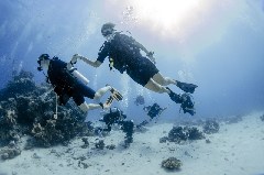 Click to enlarge

WeDive - Scuba-Girls