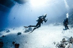 Click to enlarge

WeDive - Scuba-Girls