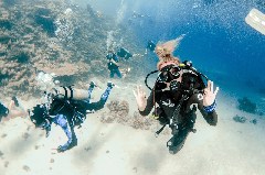 Click to enlarge

WeDive - Scuba-Girls