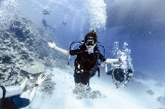 Click to enlarge

WeDive - Scuba-Girls