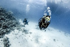 Click to enlarge

WeDive - Scuba-Girls