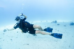 Click to enlarge

WeDive - Scuba-Girls