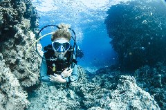 Click to enlarge

WeDive - Scuba-Girls