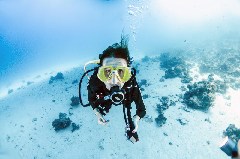 Click to enlarge

WeDive - Scuba-Girls