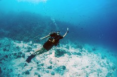 Click to enlarge

WeDive - Scuba-Girls