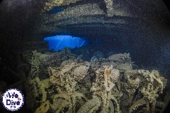 Click to enlarge

WeDive - Thistlegorm